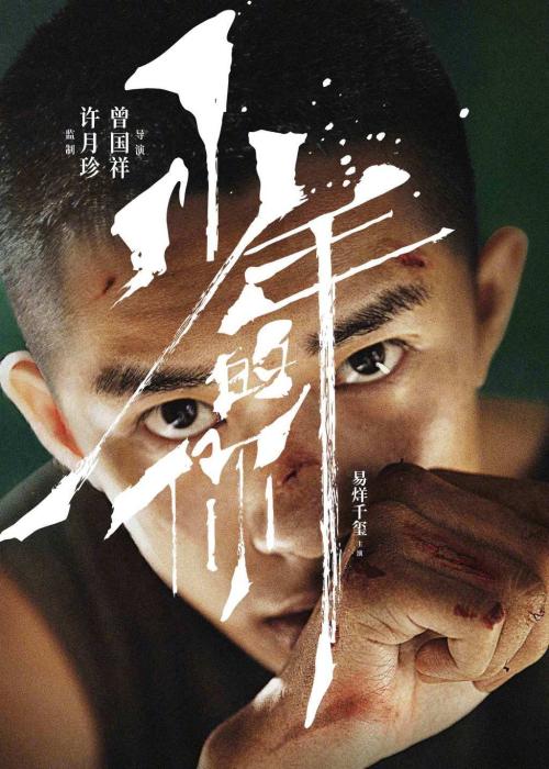 切斯特大学硕士成绩单